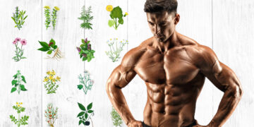 Herbs For Testosterone