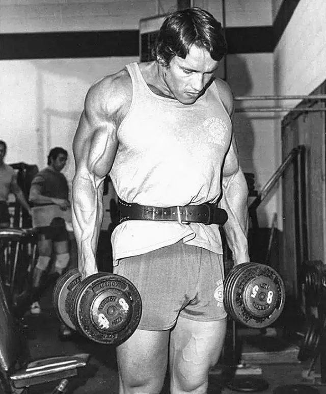 Arnold Shoulder Exercise