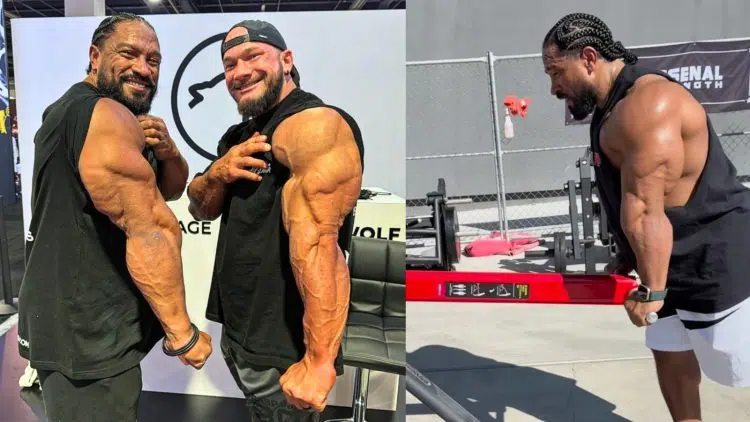 Roelly Winklaar