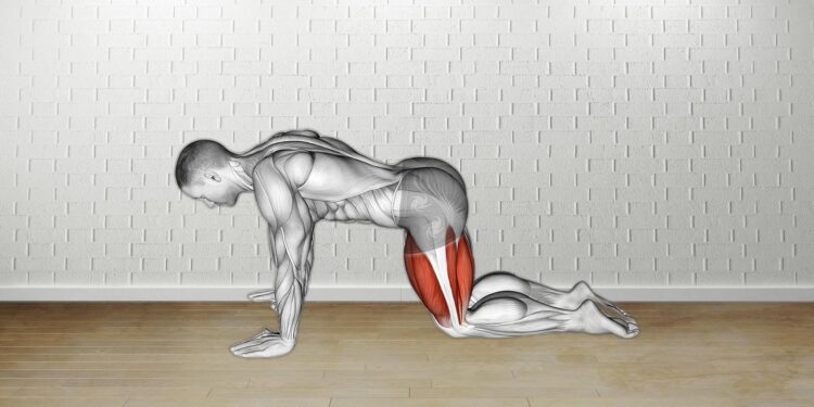 How to do All Fours Squad Stretch