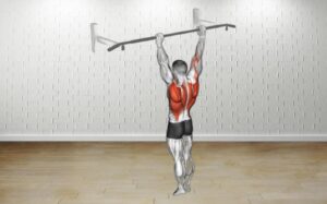 How to do Archer Pull Up