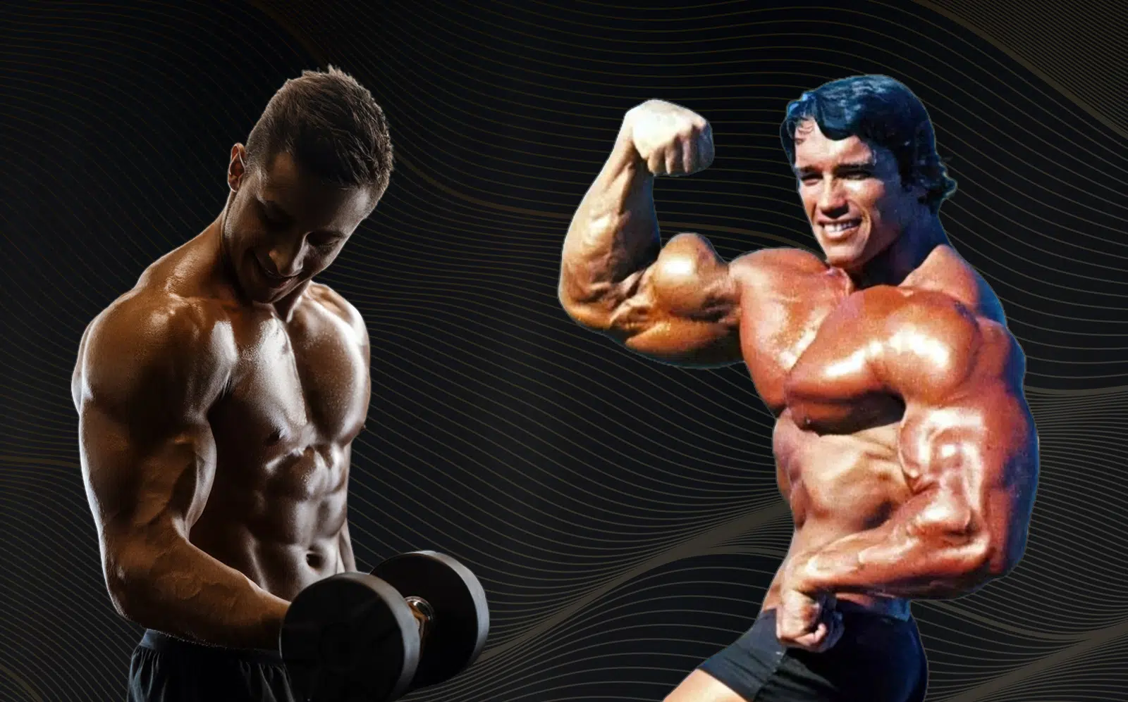Arnold Blueprint Workout Challenge