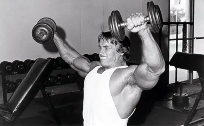 Arnold Lateral Raises