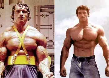 Arnold Schwarzenegger 6 Day Split