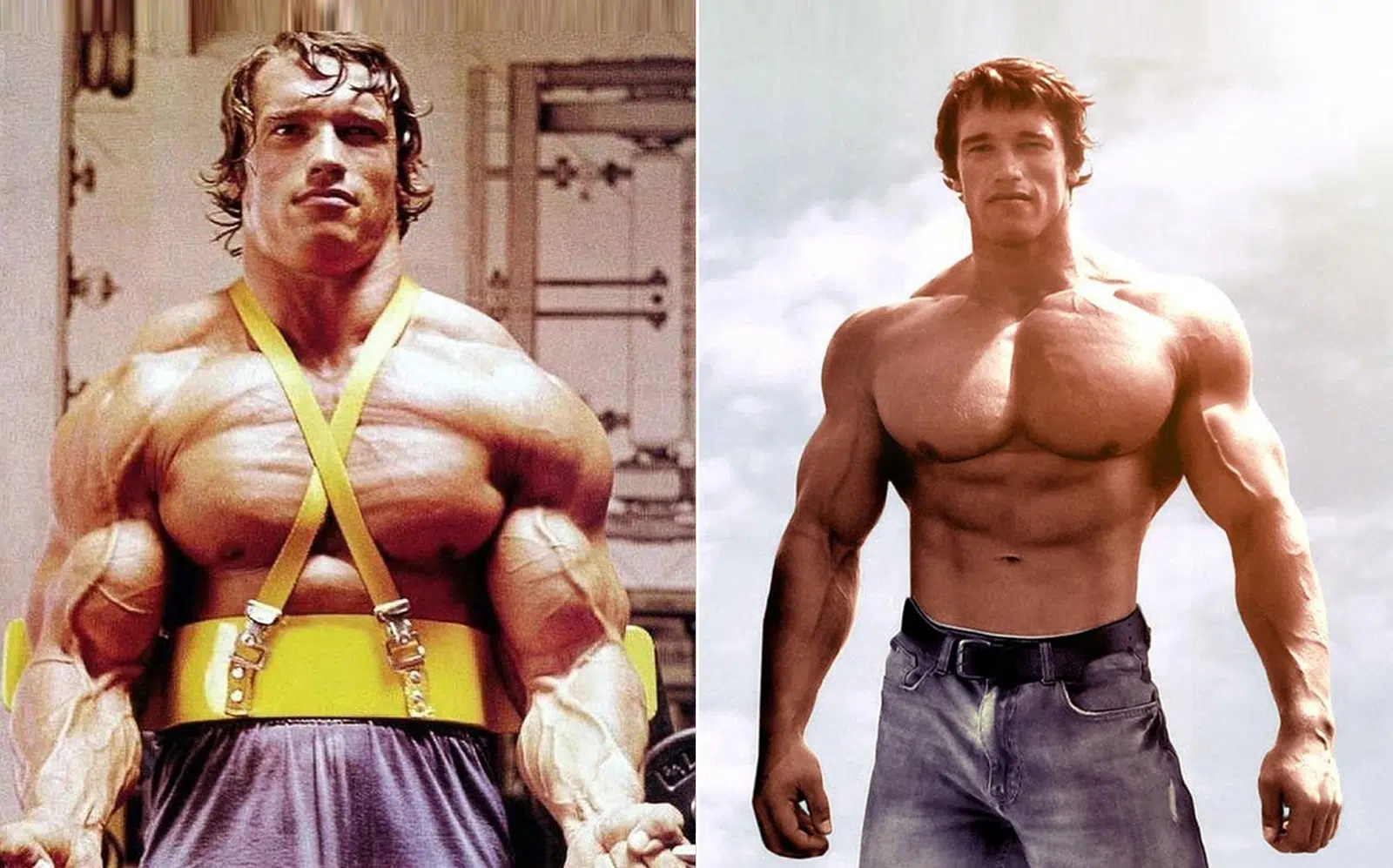 Arnold Schwarzenegger 6 Day Split