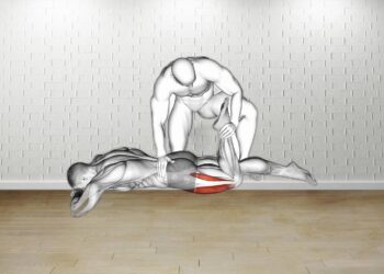 How to do Assisted Prone Lying Quads Stretch