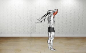 How to do Assisted Standing Triceps Extension (With Towel)