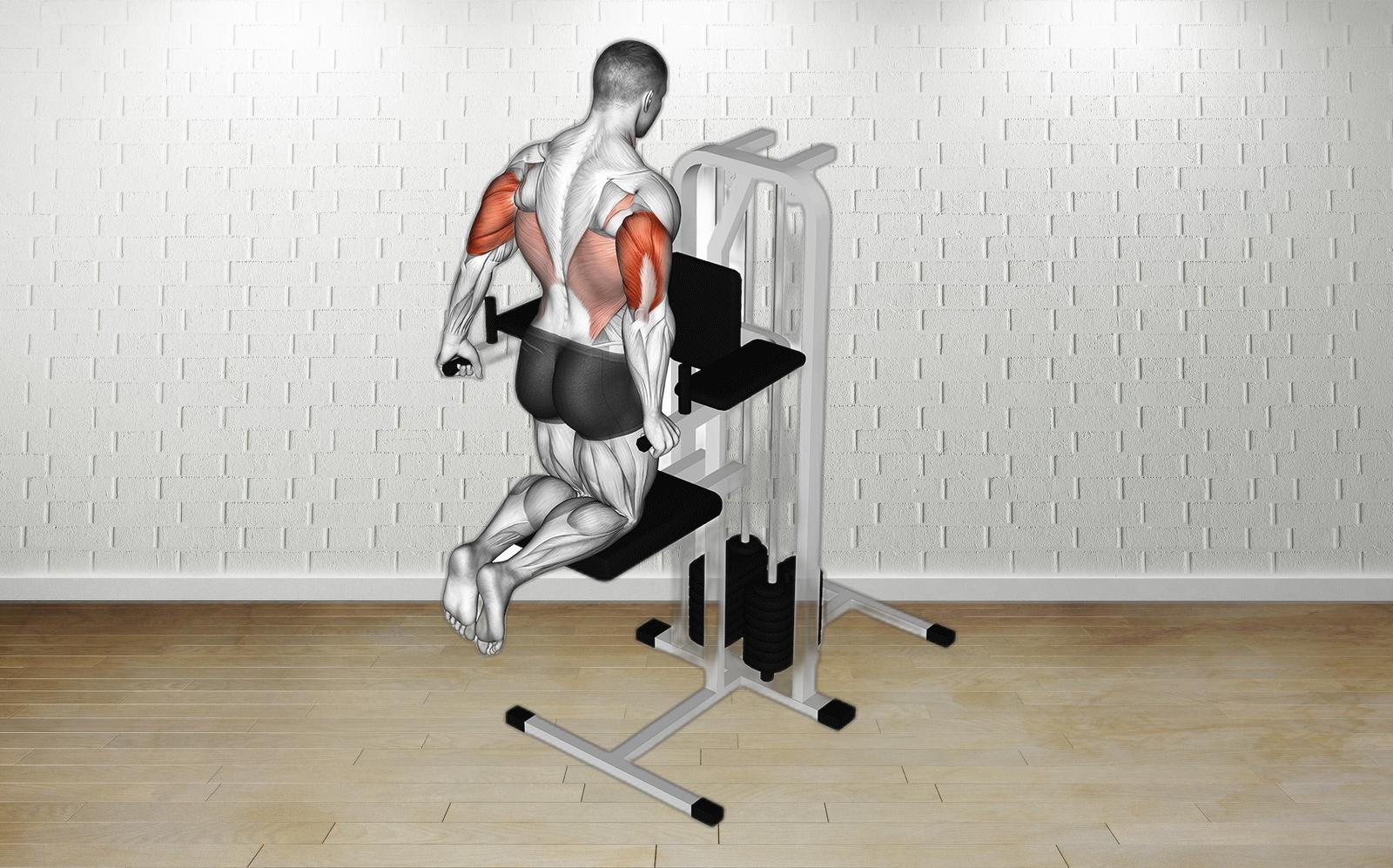 Assisted Kneeling Dips Boost Your Triceps Strength with Ease Fitness