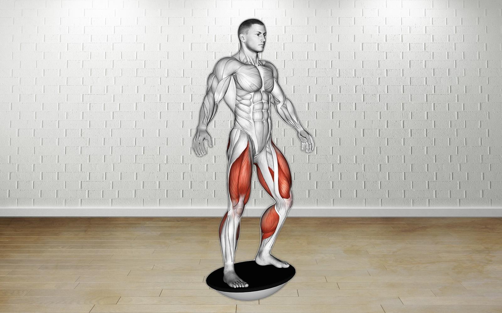 Boost Quad Strength with Balance Board Exercise Today! Fitness Volt