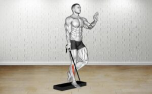 How to do Band Single Leg Reverse Calf Raise