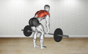 How to do Barbell Bent Over Row