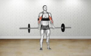 How to do Barbell Biceps Curl (With Arm Blaster)