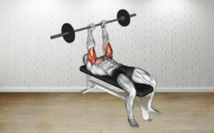 How to do Barbell Jm Bench Press