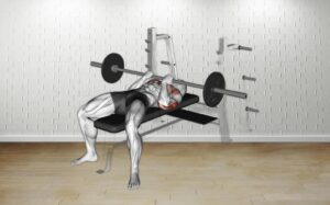 How to do Barbell Reverse Close-Grip Bench Press