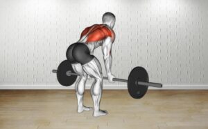 How to do Barbell Reverse Grip Bent Over Row