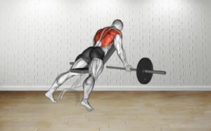 How to do Barbell Reverse Grip Incline Bench Row