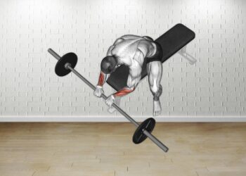 How to do Barbell Reverse Wrist Curl