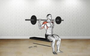 How to do Barbell Seated Behind Head Military Press