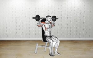 How to do Barbell Seated Bradford Rocky Press