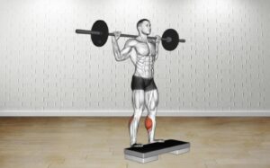 How to do Barbell Standing Leg Calf Raise