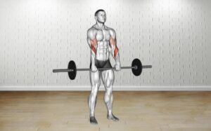 How to do Barbell Standing Reverse Grip Curl