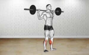 How to do Barbell Standing Rocking Leg Calf Raise