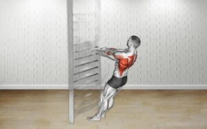 How to do Bodyweight Standing Row (With Towel)