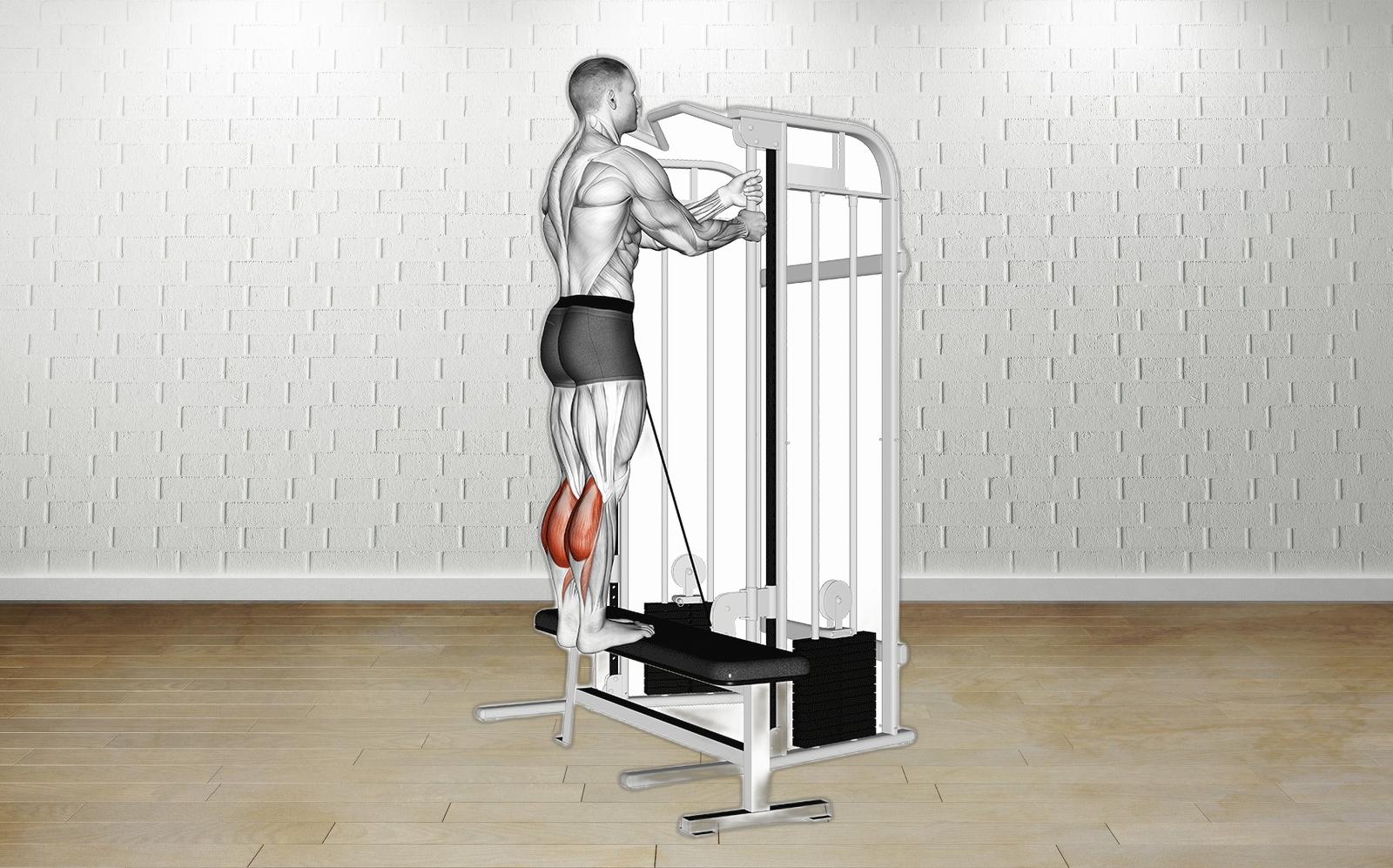 Build Strong Calves Effective Cable Standing Calf Raise Fitness Volt Build Strong Calves Effective Cable Standing Calf Raise Fitness Volt