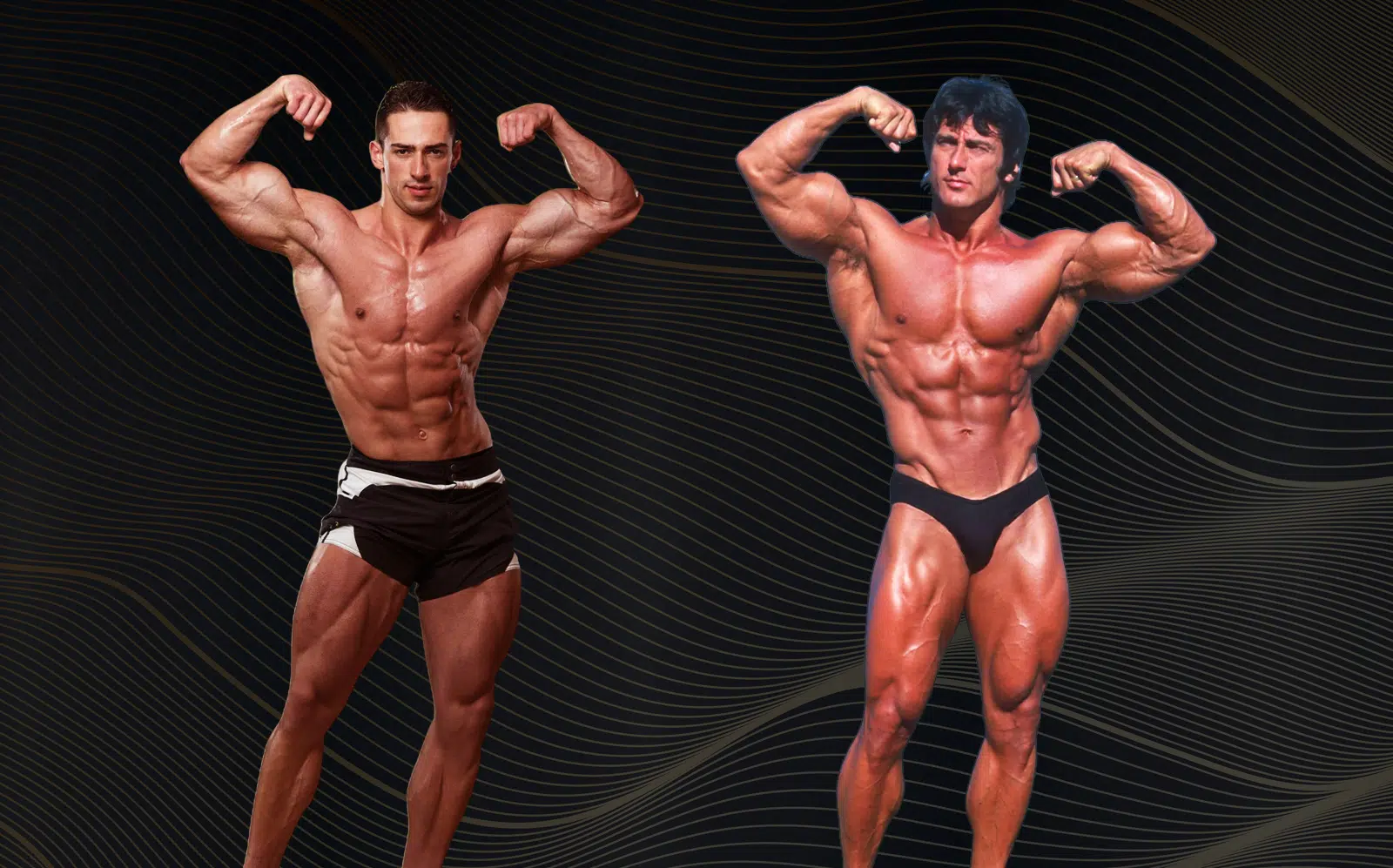 Frank Zanes 12 Week Workout Program