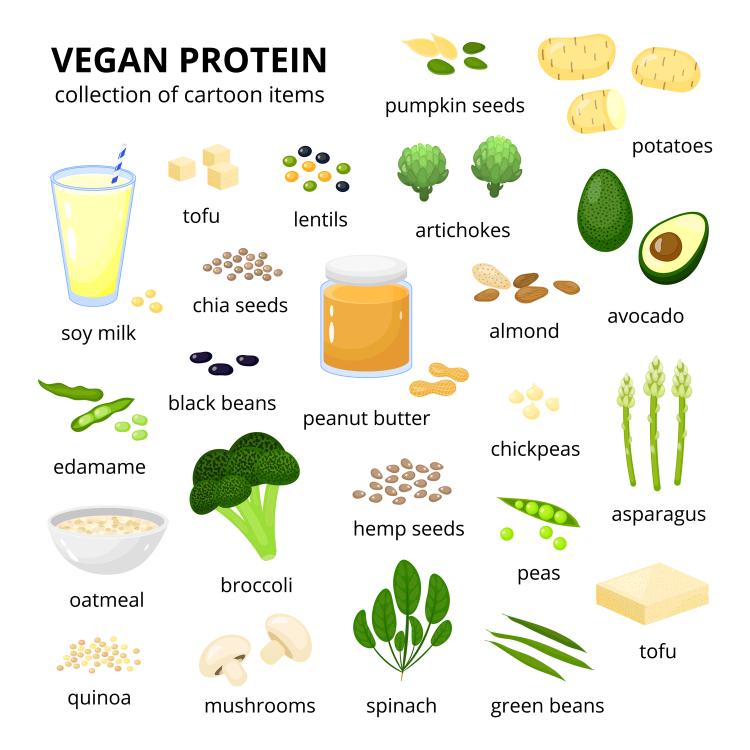 Vegan Protein Sources