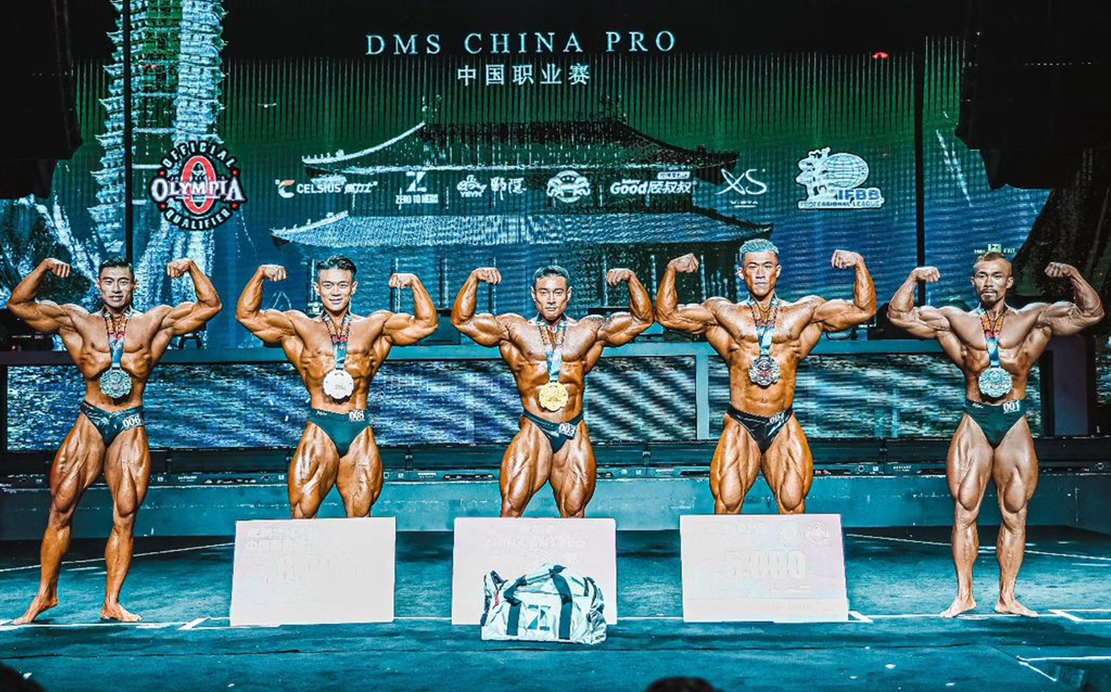2024 China DMS Pro Winners