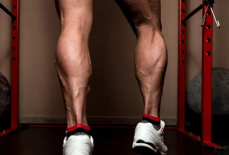 Calf Workout