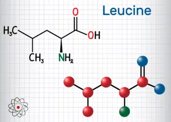 Leucine