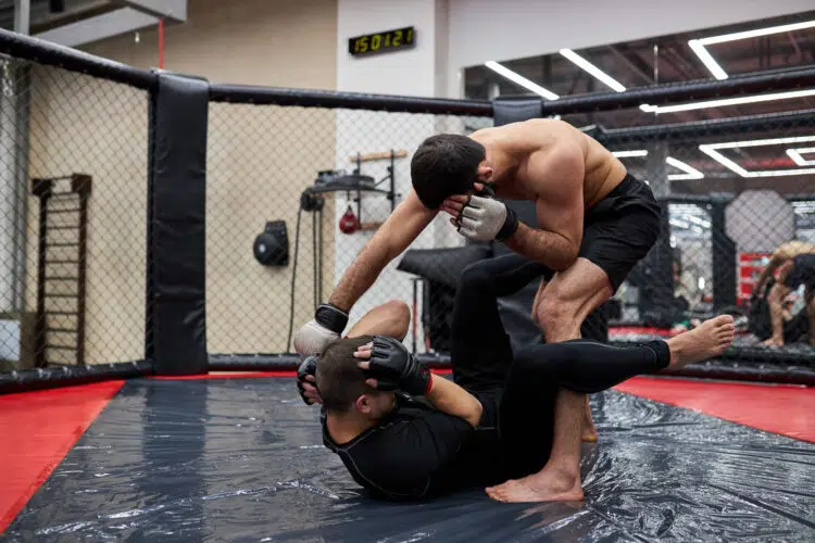 Two Professional Doing Mma Training