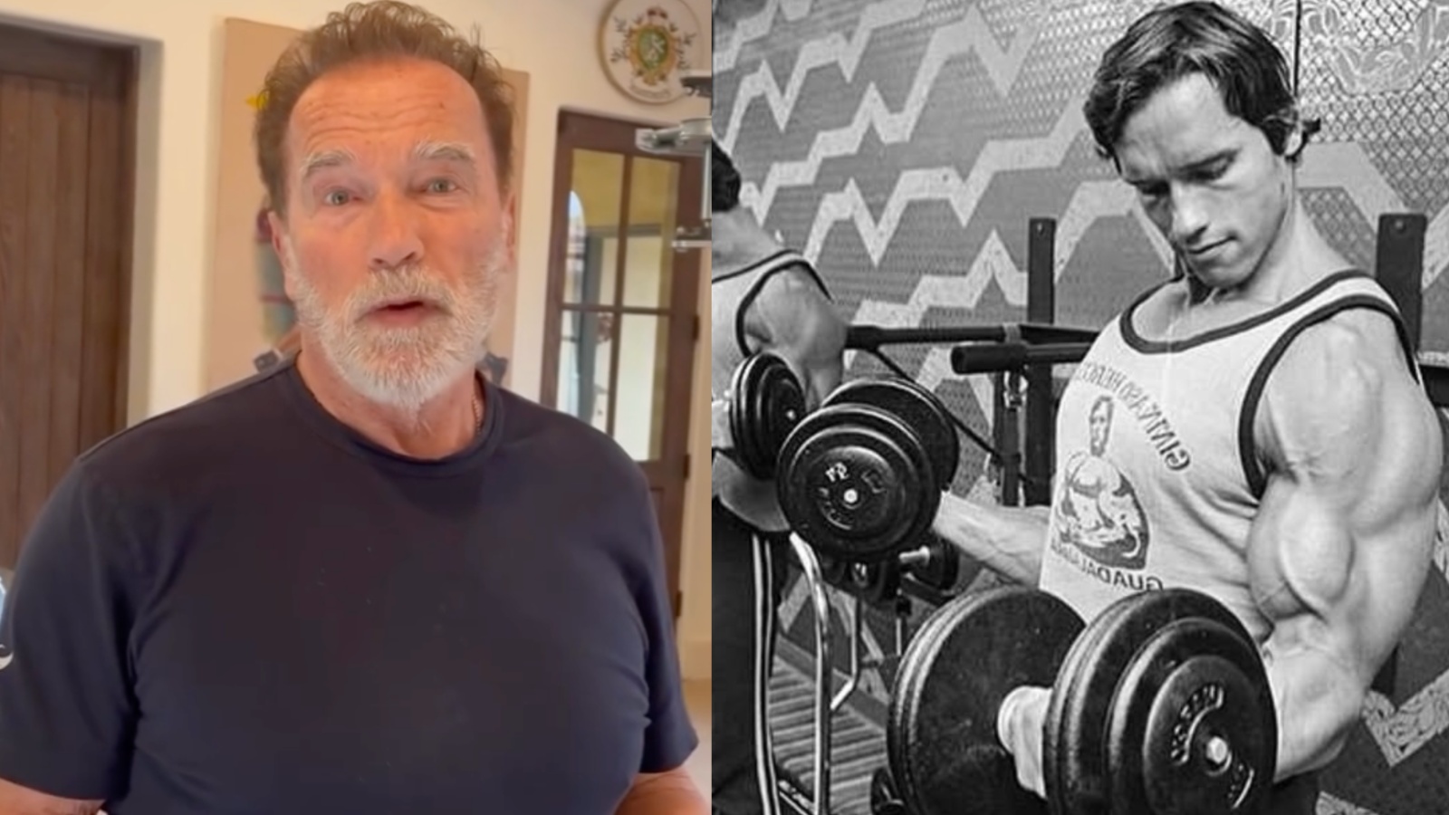 Arnold Schwarzenegger Shares 15Minute 'MuscleBuilding Pump, Full Body