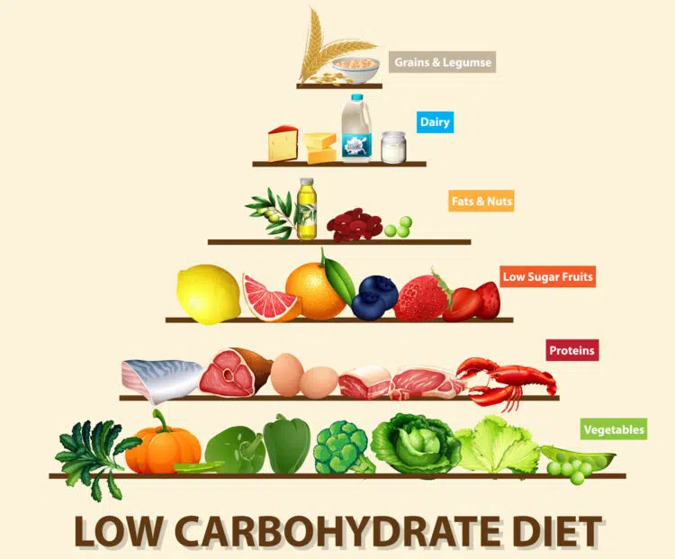 Low Carbohydrate Diet