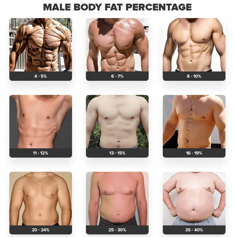 Body Fat Percentage