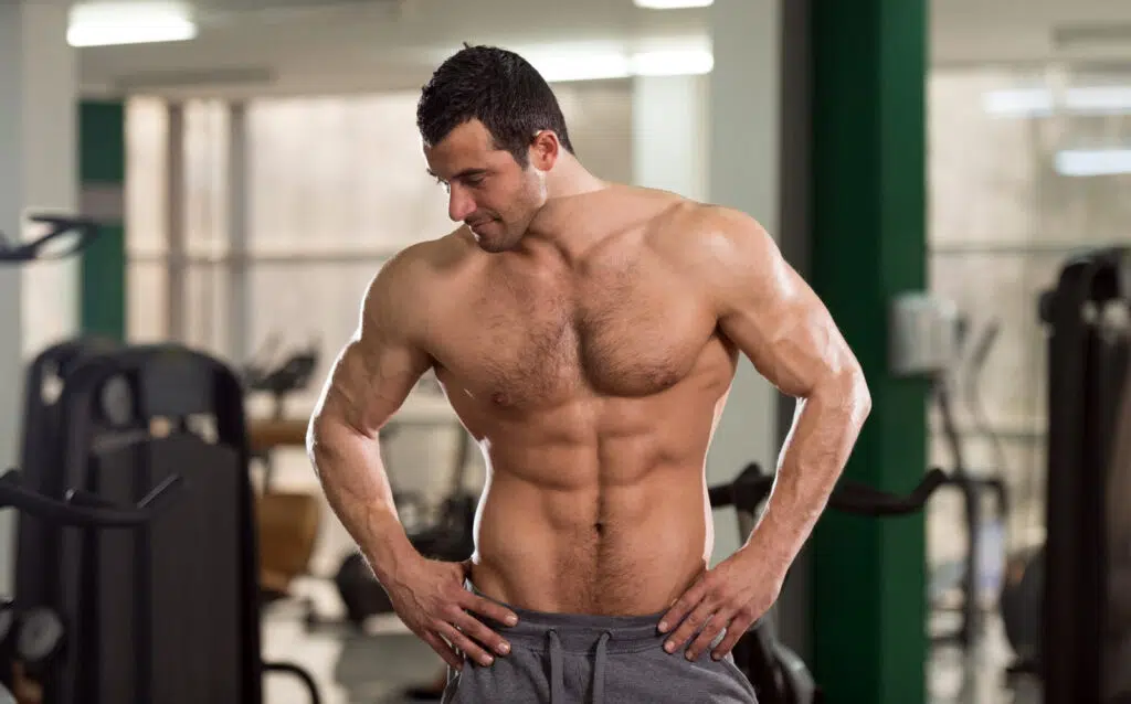 Muscle Gain vs Fat Gain