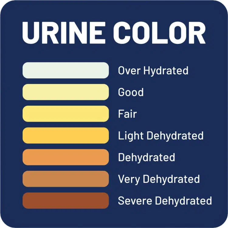 Urine Colour Chart