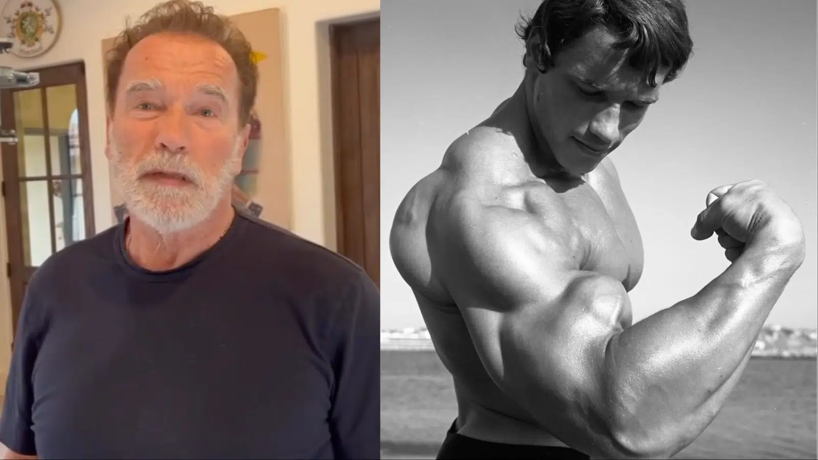 Arnold Schwarzenegger