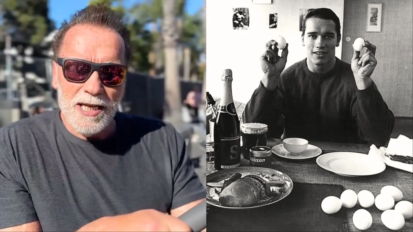 Arnold Schwarzenegger