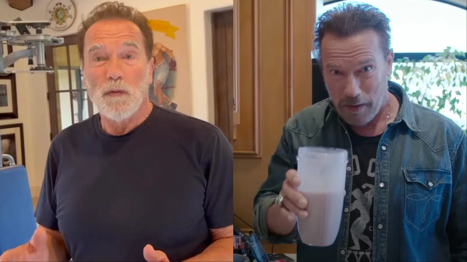 Arnold Schwarzenegger