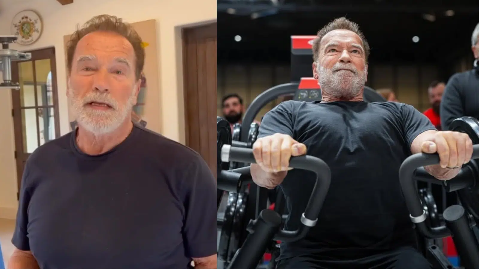 Arnold Schwarzenegger
