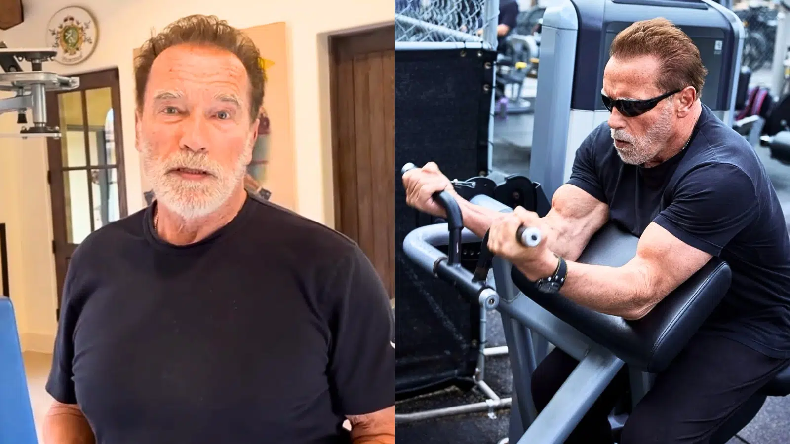 Arnold Schwarzenegger