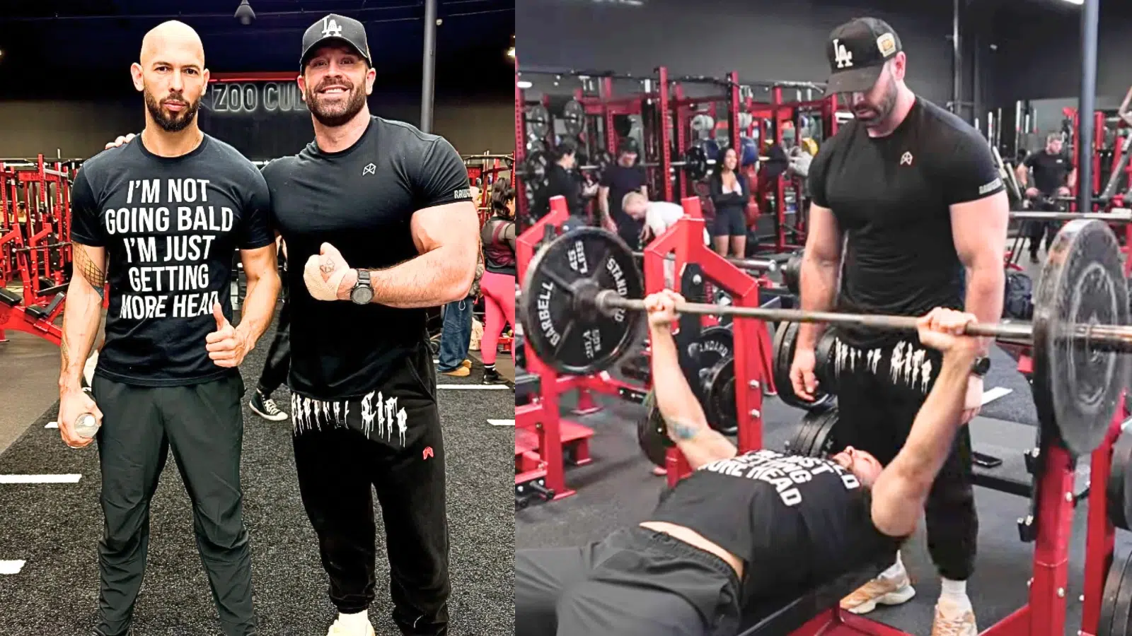 Bradley Martyn