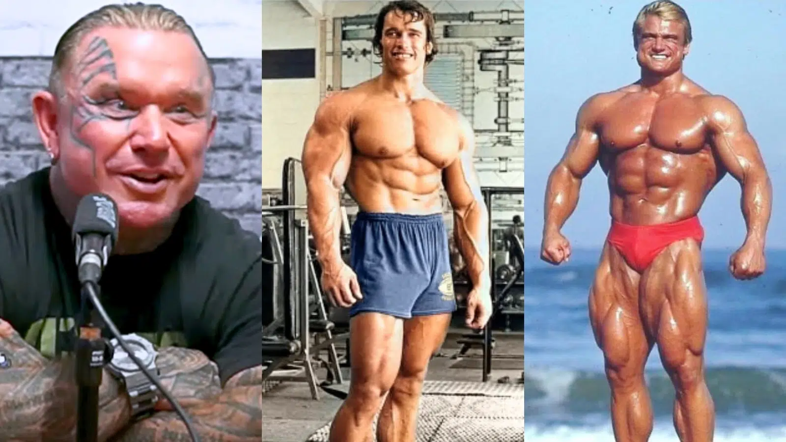 Lee Priest