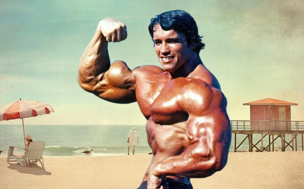Arnold Schwarzenegger Blueprint To Mass Arnold Schwarzenegger Blueprint To Mass