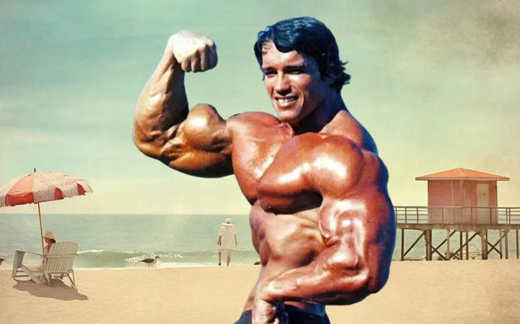 Arnold Schwarzenegger Blueprint To Mass Arnold Schwarzenegger Blueprint To Mass