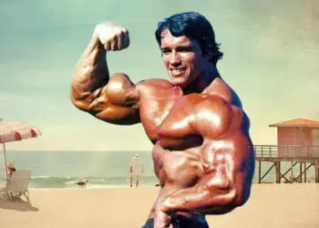 Arnold Schwarzenegger Blueprint To Mass