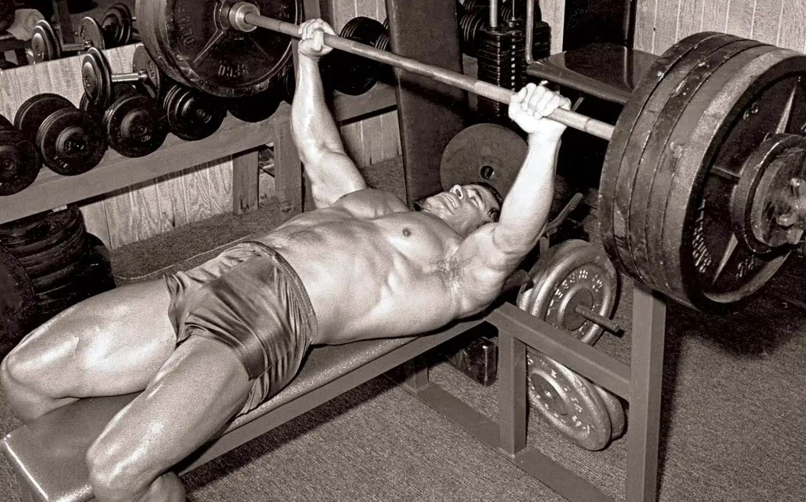 Franco Columbu Program